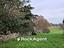 Immagine 15