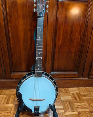 Banjo-guitar