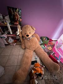 Orso gigante
