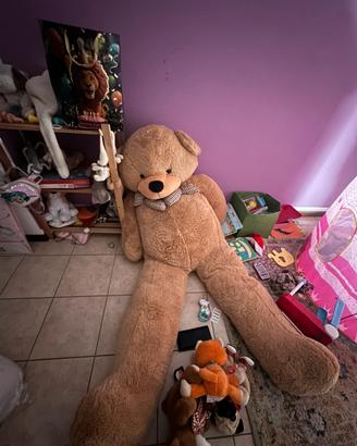 Orso gigante