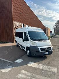 Fiat ducato flex floor 9 posti