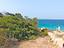 Immagine 25