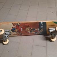 Skateboard SK 110