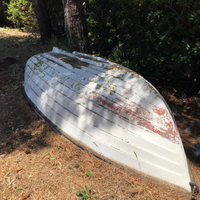 Lancia Gariplast vetroresina con motore Johnson