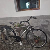 Bici uomo