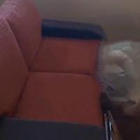 IMMEDIATO REALIZZO Divani 2 e 3 posti con pouf