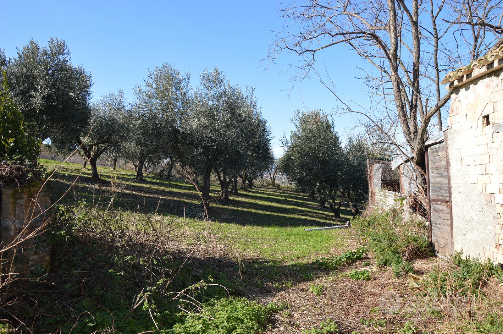 Casolare e terreno con vista sul mare - R46 - Vista 3