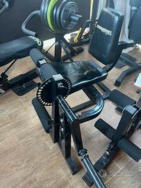 Leg extension/leg curl