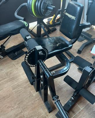 Leg extension/leg curl