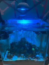 Acquario marino aqpet
