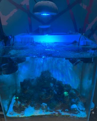 Acquario marino aqpet