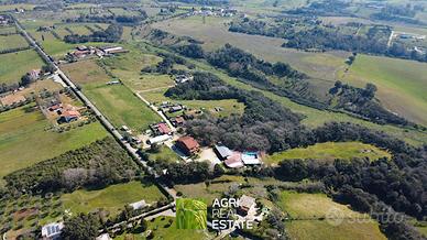 Aprilia (LT) - Terreno 9 HA con fabbricati | TR395