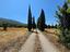 Immagine 5