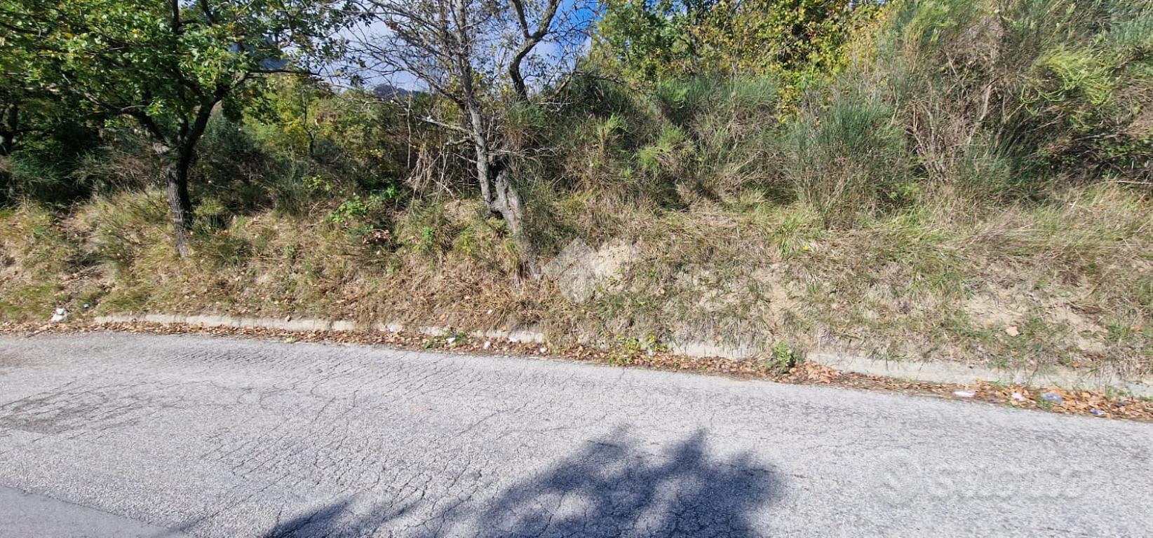 TER. AGRICOLO A MONTESARCHIO - Vista 4