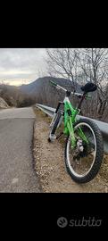 MTB DH modificata trattabile 