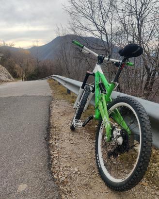 MTB DH modificata trattabile 