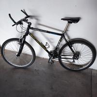 MOUNTAIN BIKE Bottecchia 26
