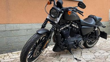 Harley davidson XL Iron 883N