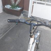 bici eletrica