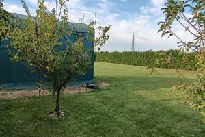 terreno agrigolo