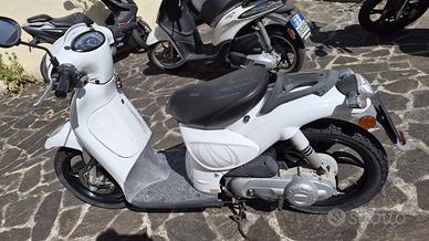 SCARABEO 50 2T