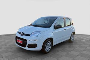 FIAT Panda Pandina 1.0 FireFly 65 CV Hybrid Icon