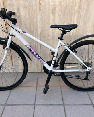 Bicicletta Mountain Bike