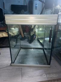 acquario 120 litri