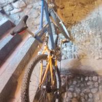 bici da regazzo 
