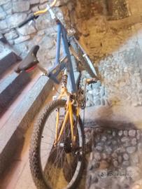 bici da regazzo 