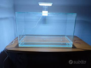 Acquario Completo e Accessori