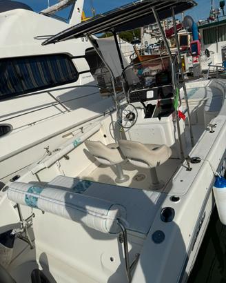 Sessa Key largo 20