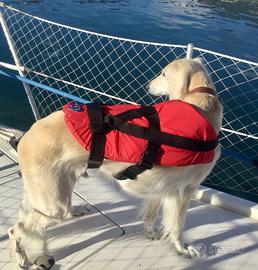 Giubbo!o di salvataggio del cane