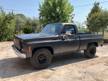 Chevrolet C10 Blazer PickUp