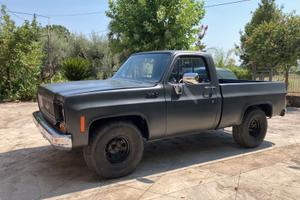 Chevrolet C10 Blazer PickUp