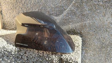 Cupolino fume'