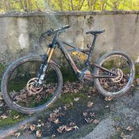 Specialized Kenevo tg S