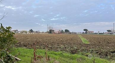 Terreno di 40000 m² a Cesena
