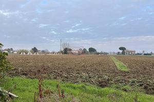 Terreno di 40000 m² a Cesena