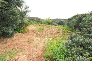 Villetta indipendente tra montagna e mare