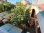 Immagine 19