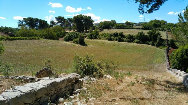 Terreno edificabile con trullo