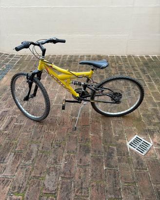 mountain bike bicicletta