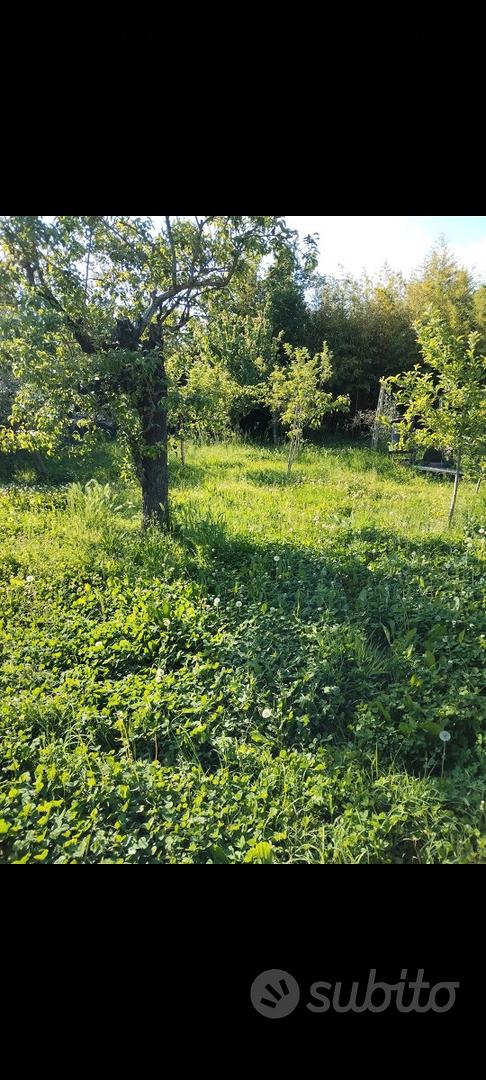 Terreno agricolo Sinalunga - Vista 3