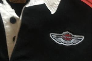 Harley Davidson centenario