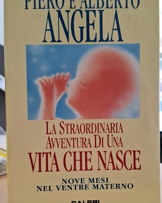 P. A. ANGELA - una vita che nasce