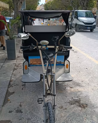 risciò elettrico per trasporto passeggeri 