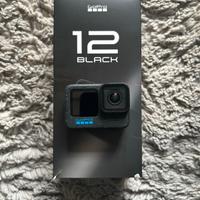 go pro 12 black 