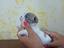 Immagine 1