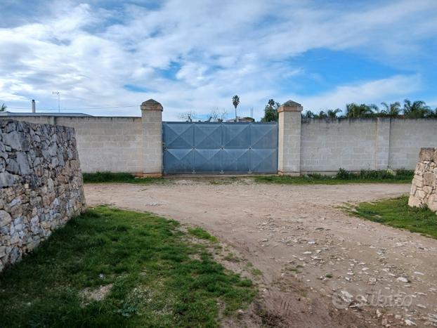 Leverano terreno agricolo